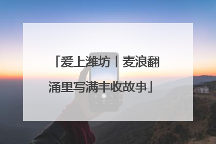爱上潍坊丨麦浪翻涌里写满丰收故事