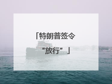 特朗普签令“放行”