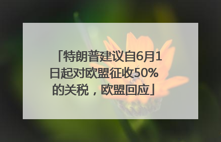 特朗普建议自6月1日起对欧盟征收50%的关税，欧盟回应