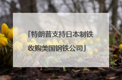 特朗普支持日本制铁收购美国钢铁公司