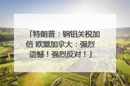 特朗普：钢铝关税加倍 欧盟加拿大：强烈遗憾！强烈反对！