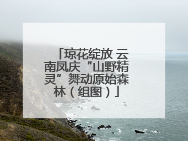 琼花绽放 云南凤庆“山野精灵”舞动原始森林（组图）