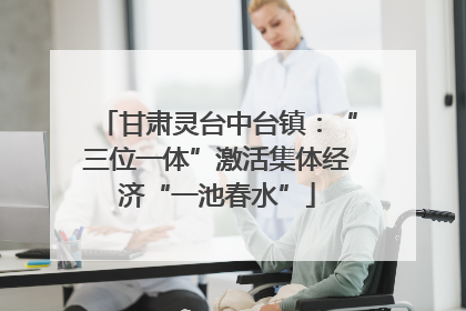 甘肃灵台中台镇：“三位一体”激活集体经济“一池春水”