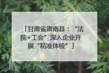 甘肃省肃南县：“法院+工会”深入企业开展“精准体检”