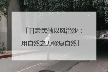甘肃民勤以风治沙：用自然之力修复自然