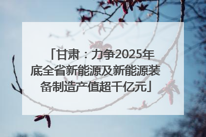甘肃：力争2025年底全省新能源及新能源装备制造产值超千亿元