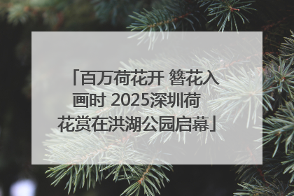 百万荷花开 簪花入画时 2025深圳荷花赏在洪湖公园启幕