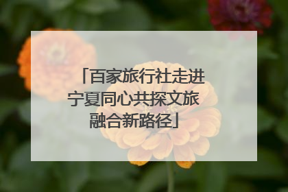 百家旅行社走进宁夏同心共探文旅融合新路径