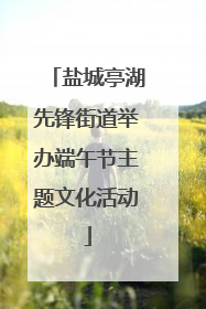 盐城亭湖先锋街道举办端午节主题文化活动