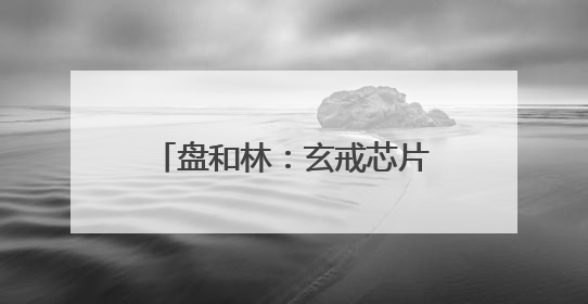 盘和林：玄戒芯片为小米打好了未来十年企业发展的基础