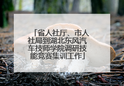 省人社厅、市人社局到湖北东风汽车技师学院调研技能竞赛集训工作