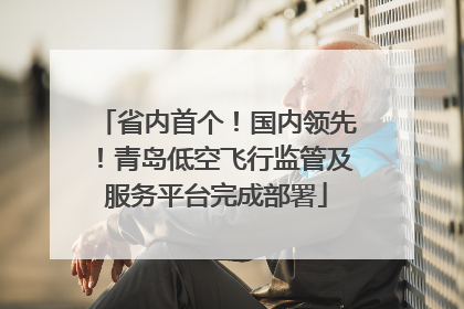 省内首个！国内领先！青岛低空飞行监管及服务平台完成部署