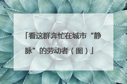 看这群奔忙在城市“静脉”的劳动者（图）