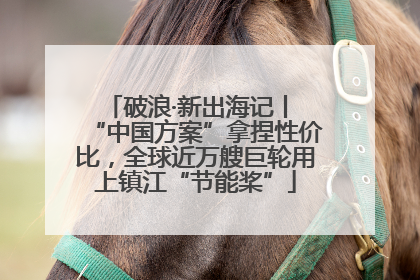 破浪·新出海记丨 “中国方案”拿捏性价比，全球近万艘巨轮用上镇江“节能桨”