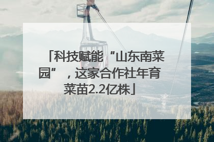 科技赋能“山东南菜园”，这家合作社年育菜苗2.2亿株