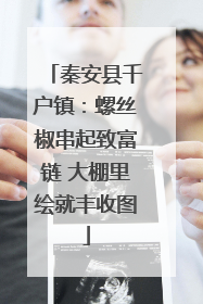 秦安县千户镇：螺丝椒串起致富链 大棚里绘就丰收图