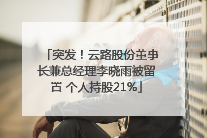 突发！云路股份董事长兼总经理李晓雨被留置 个人持股21%
