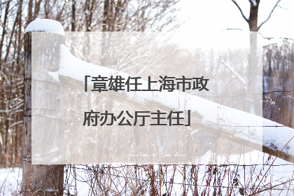 章雄任上海市政府办公厅主任