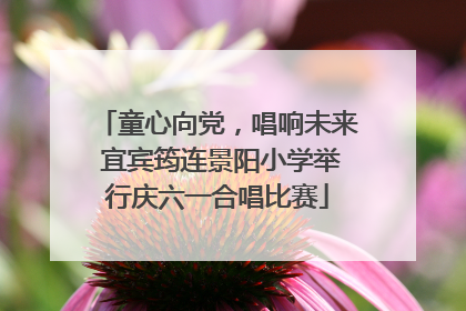 童心向党，唱响未来 宜宾筠连景阳小学举行庆六一合唱比赛