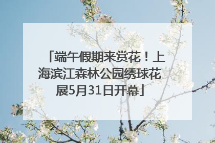端午假期来赏花！上海滨江森林公园绣球花展5月31日开幕