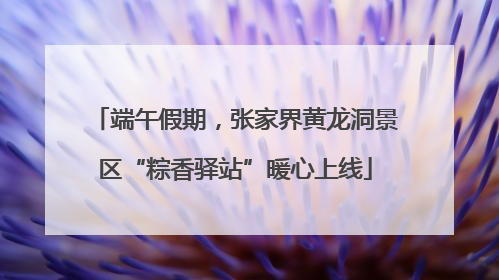 端午假期，张家界黄龙洞景区“粽香驿站”暖心上线