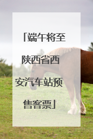 端午将至 陕西省西安汽车站预售客票