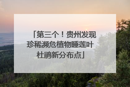 第三个！贵州发现珍稀濒危植物睡莲叶杜鹃新分布点