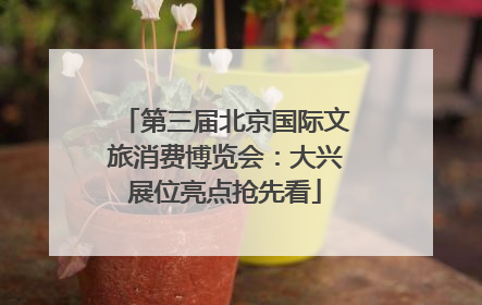 第三届北京国际文旅消费博览会：大兴展位亮点抢先看