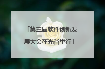 第三届软件创新发展大会在光谷举行