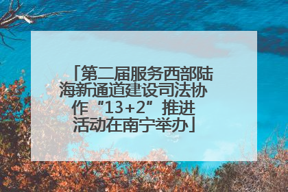 第二届服务西部陆海新通道建设司法协作“13+2”推进活动在南宁举办
