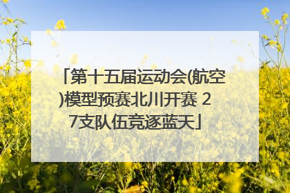 第十五届运动会(航空)模型预赛北川开赛 27支队伍竞逐蓝天