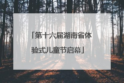 第十六届湖南省体验式儿童节启幕