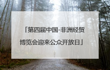 第四届中国-非洲经贸博览会迎来公众开放日