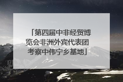 第四届中非经贸博览会非洲外宾代表团考察中伟宁乡基地