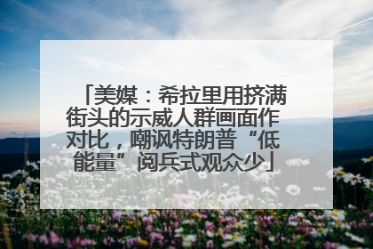 美媒：希拉里用挤满街头的示威人群画面作对比，嘲讽特朗普“低能量”阅兵式观众少