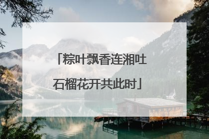 粽叶飘香连湘吐 石榴花开共此时