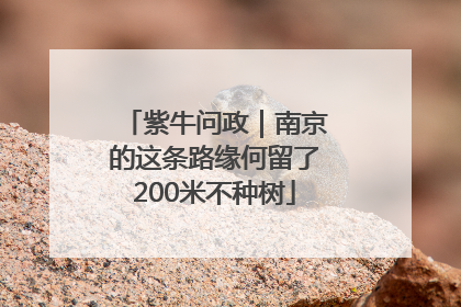 紫牛问政｜南京的这条路缘何留了200米不种树