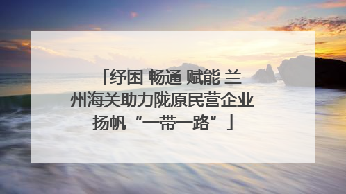 纾困 畅通 赋能 兰州海关助力陇原民营企业扬帆“一带一路”