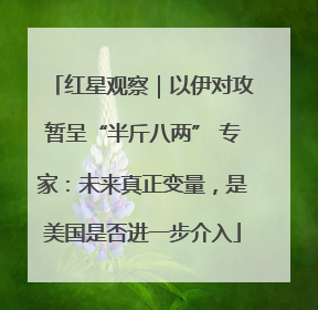 红星观察｜以伊对攻暂呈“半斤八两” 专家：未来真正变量，是美国是否进一步介入