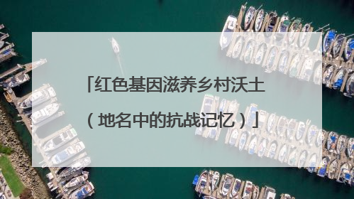 红色基因滋养乡村沃土（地名中的抗战记忆）