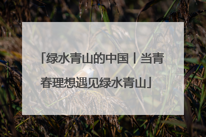 绿水青山的中国丨当青春理想遇见绿水青山