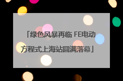 绿色风暴再临 FE电动方程式上海站圆满落幕