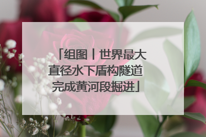 组图丨世界最大直径水下盾构隧道完成黄河段掘进