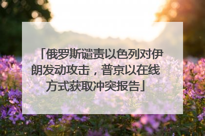 俄罗斯谴责以色列对伊朗发动攻击，普京以在线方式获取冲突报告
