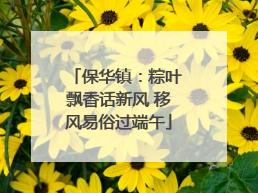 保华镇：粽叶飘香话新风 移风易俗过端午
