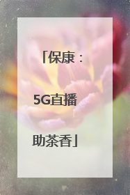 保康：5G直播助茶香