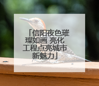 信阳夜色璀璨如画 亮化工程点亮城市新魅力