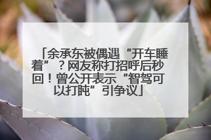 余承东被偶遇“开车睡着”？网友称打招呼后秒回！曾公开表示“智驾可以打盹”引争议