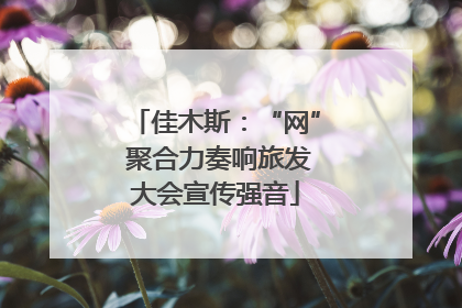佳木斯：“网” 聚合力奏响旅发大会宣传强音