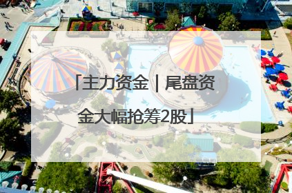 主力资金｜尾盘资金大幅抢筹2股